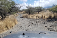 hawaii-off-roading-2019-32